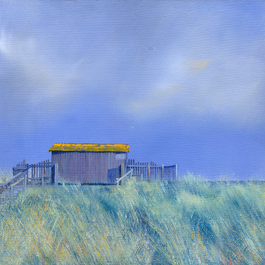 Warden's Hut Beadnell Summer Grasses