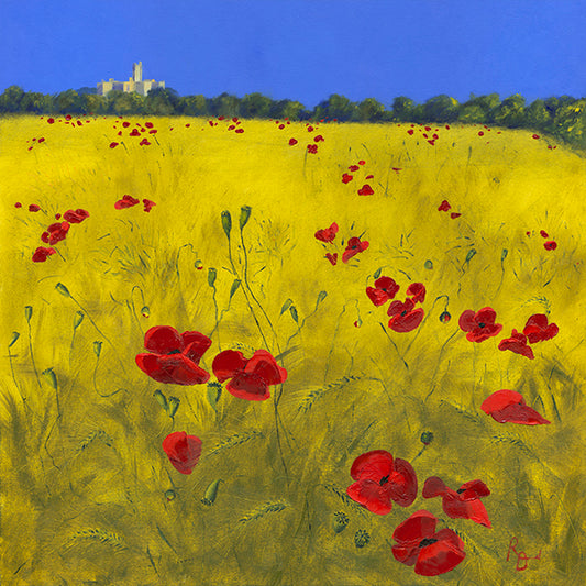 Warkworth Castle Poppies in Barley Field