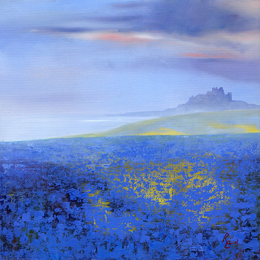 Bamburgh Castle Phacelia Fields