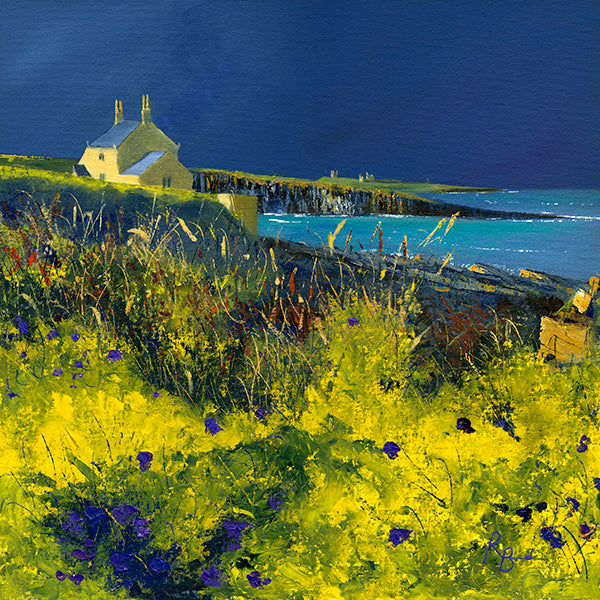 Wild Flowers Thriving, Bathing House Howick