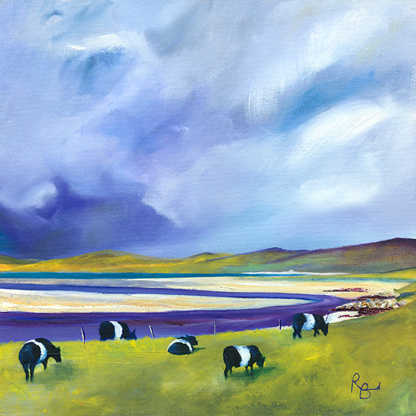 Belted Galloways Grazing, Luskentyre